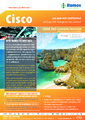 ccie 360, ccie, rumos, summer